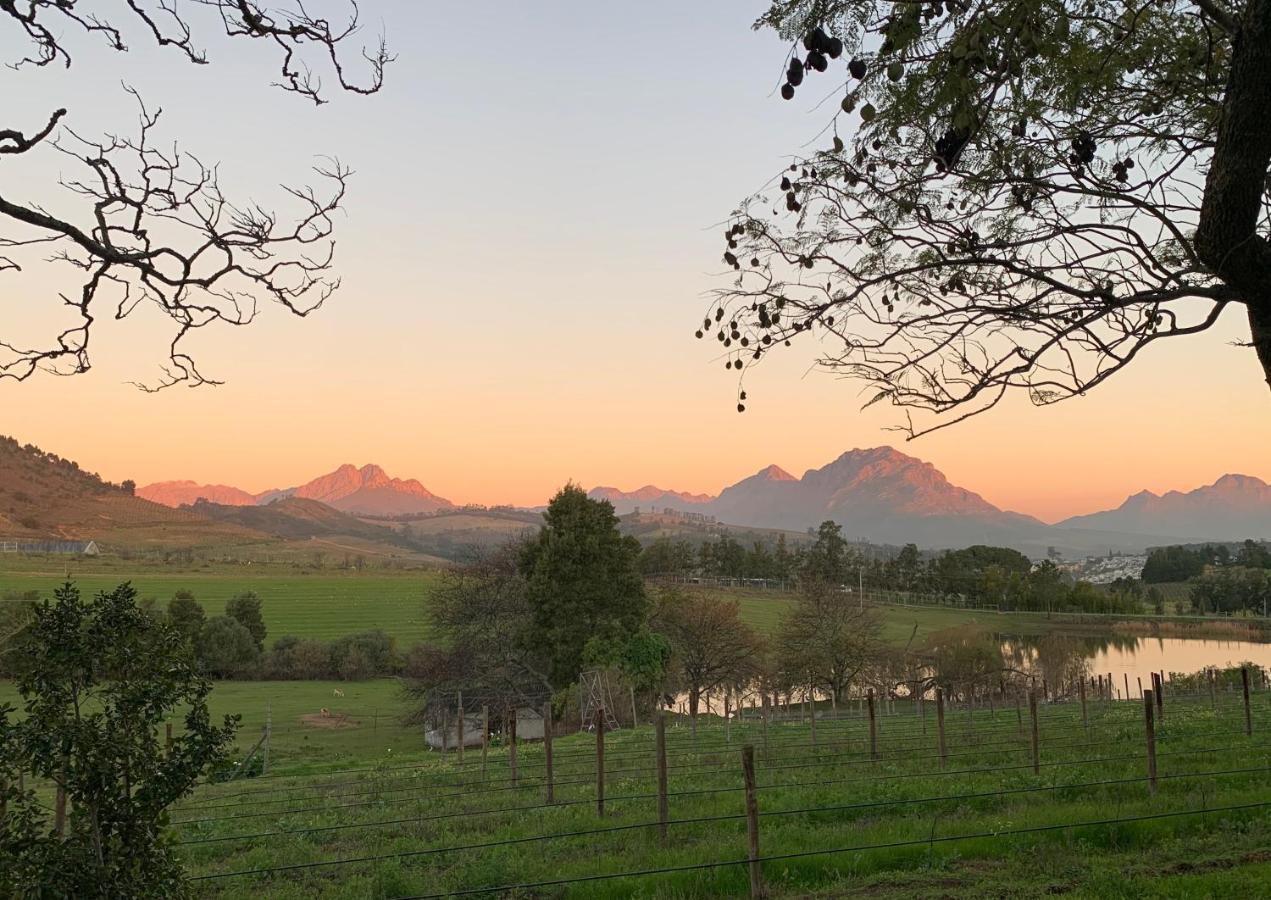 Вилла Wildlife Retreat On A Wine-Farm Стелленбос Экстерьер фото